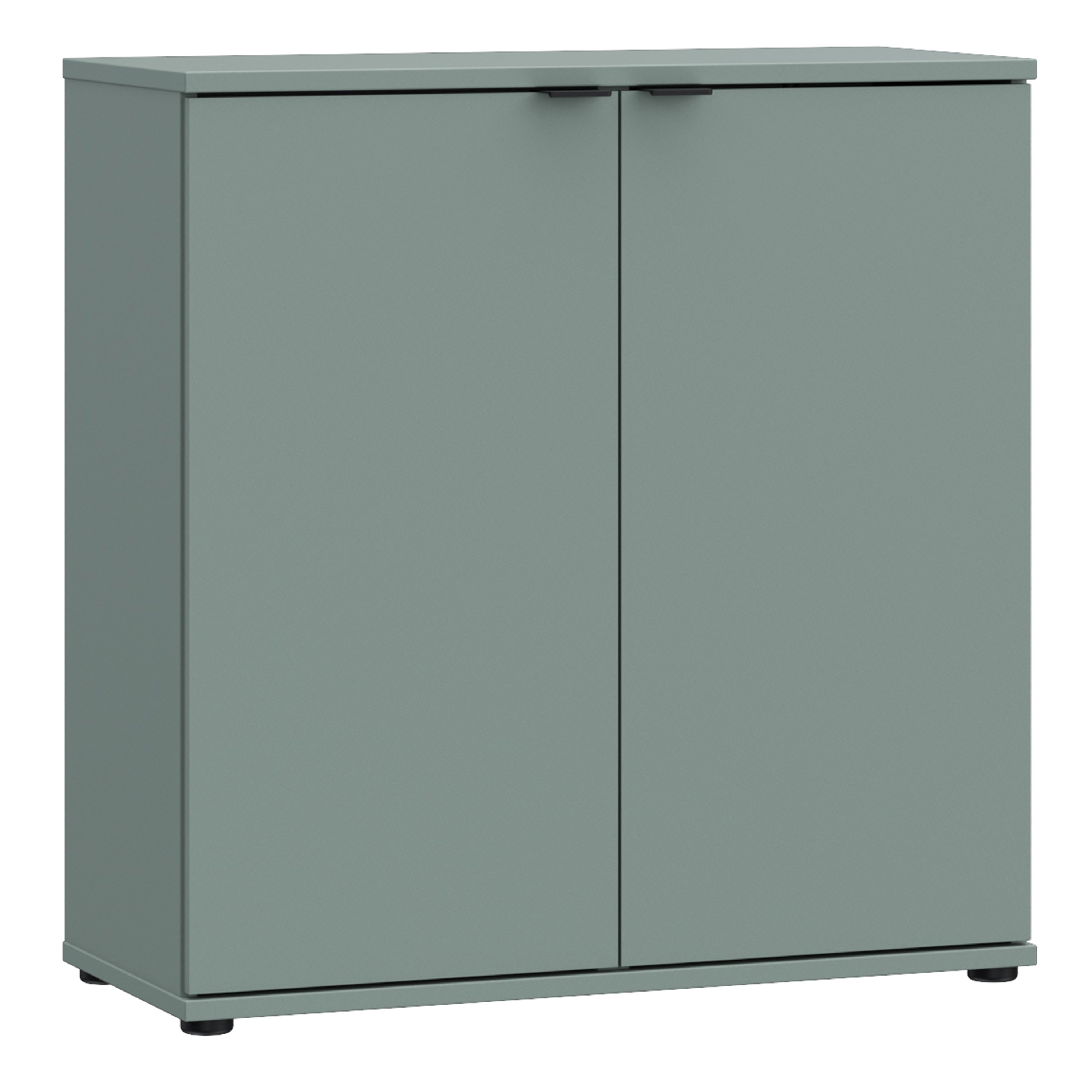 Ganymede 2 Door Cupboard in Sage Green