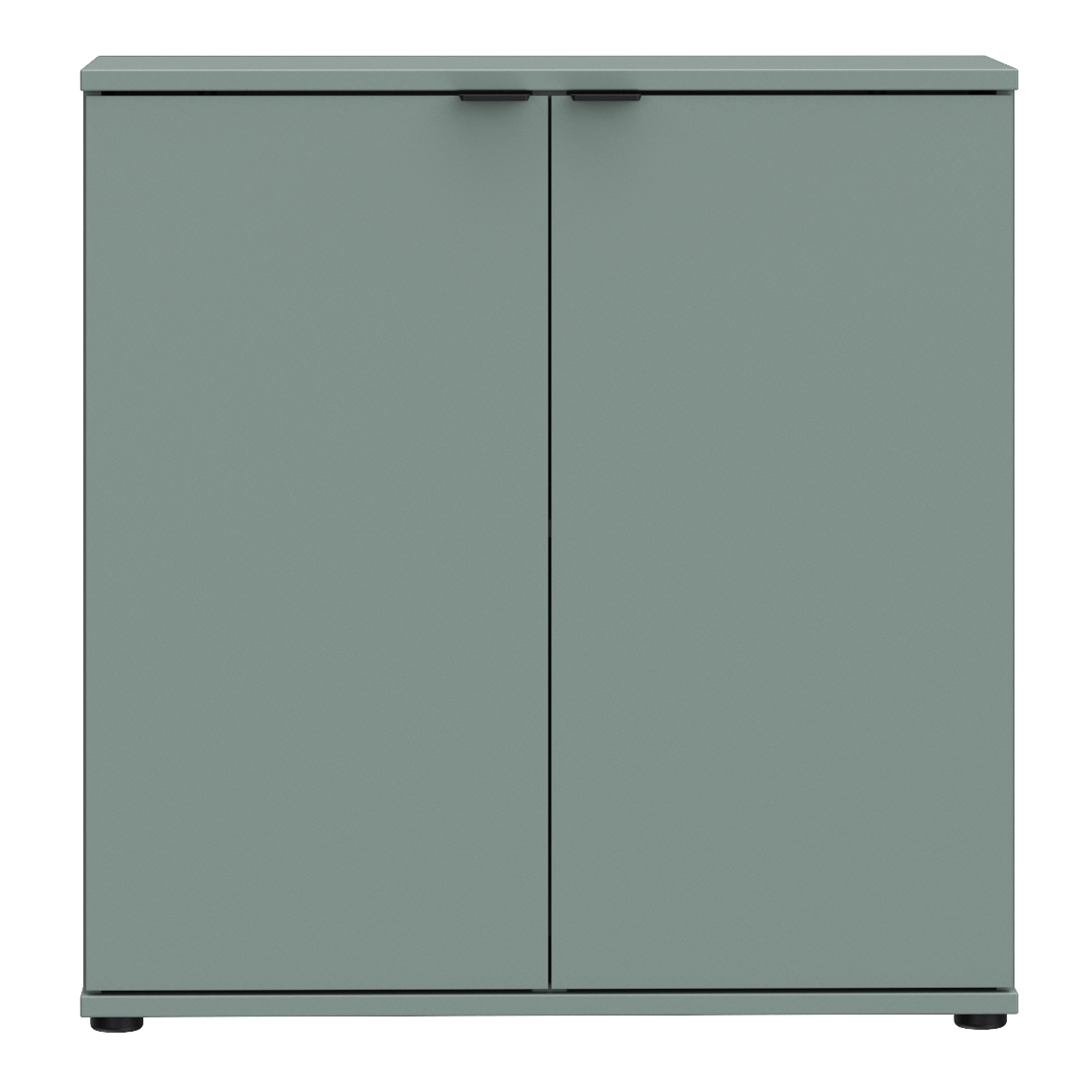 Ganymede 2 Door Cupboard in Sage Green