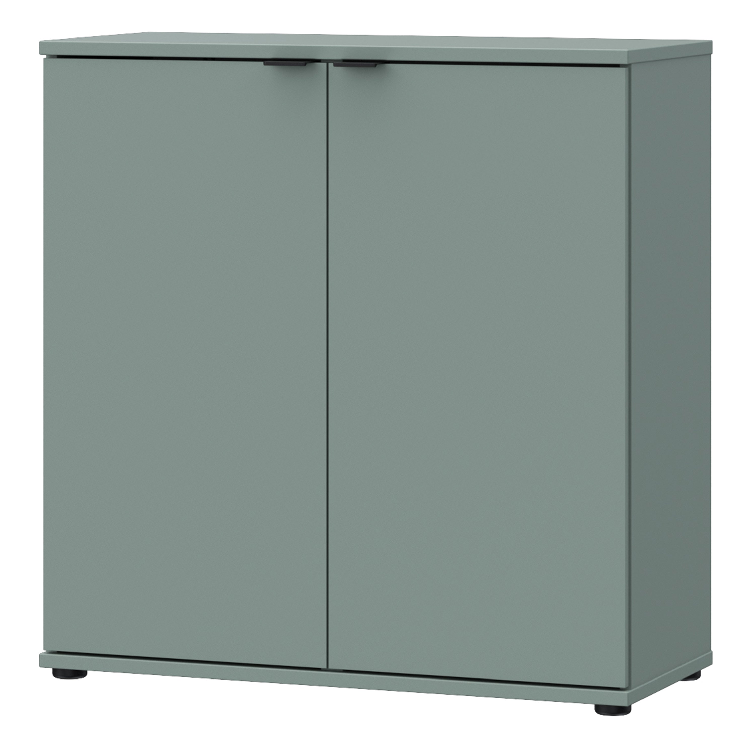 Ganymede 2 Door Cupboard in Sage Green