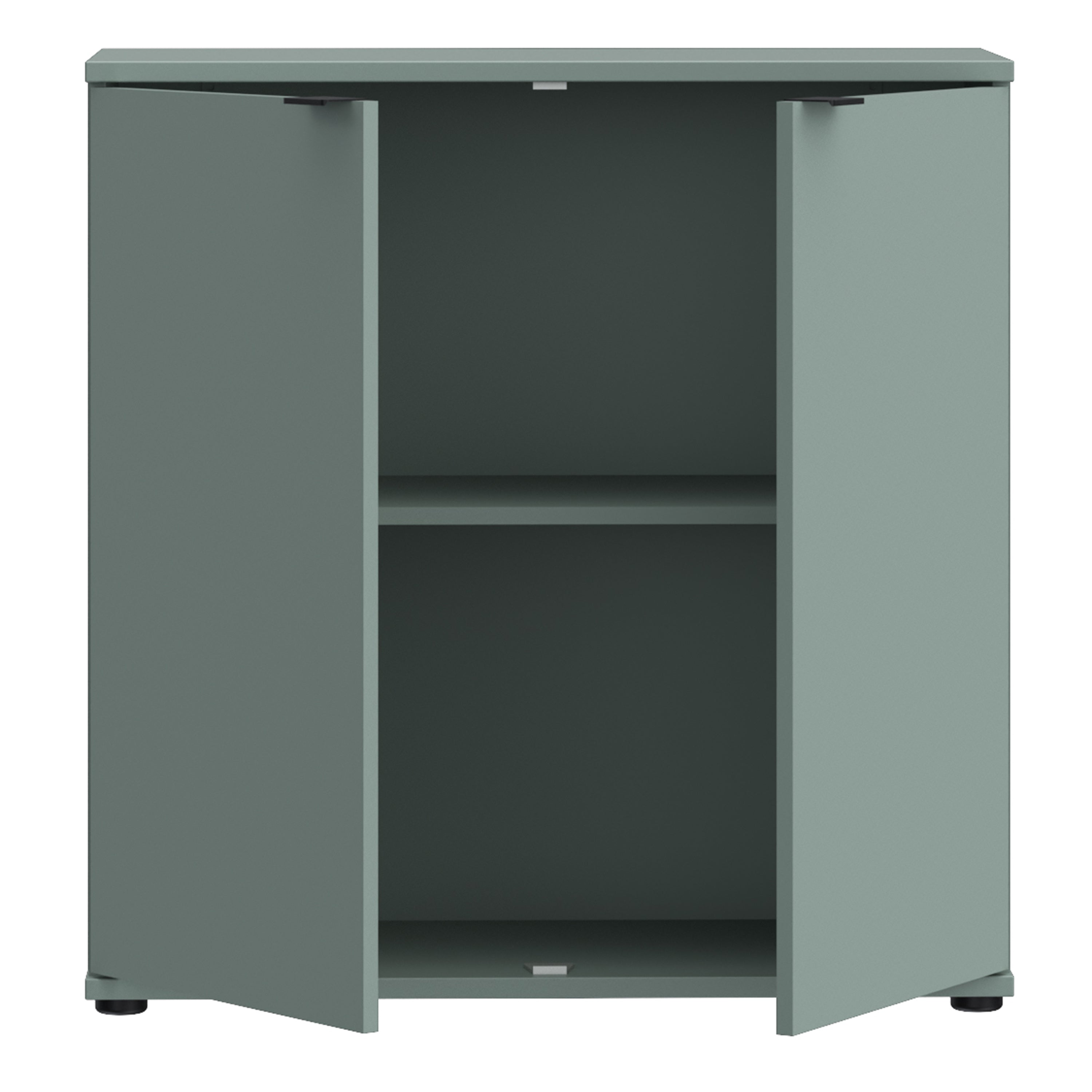 Ganymede 2 Door Cupboard in Sage Green