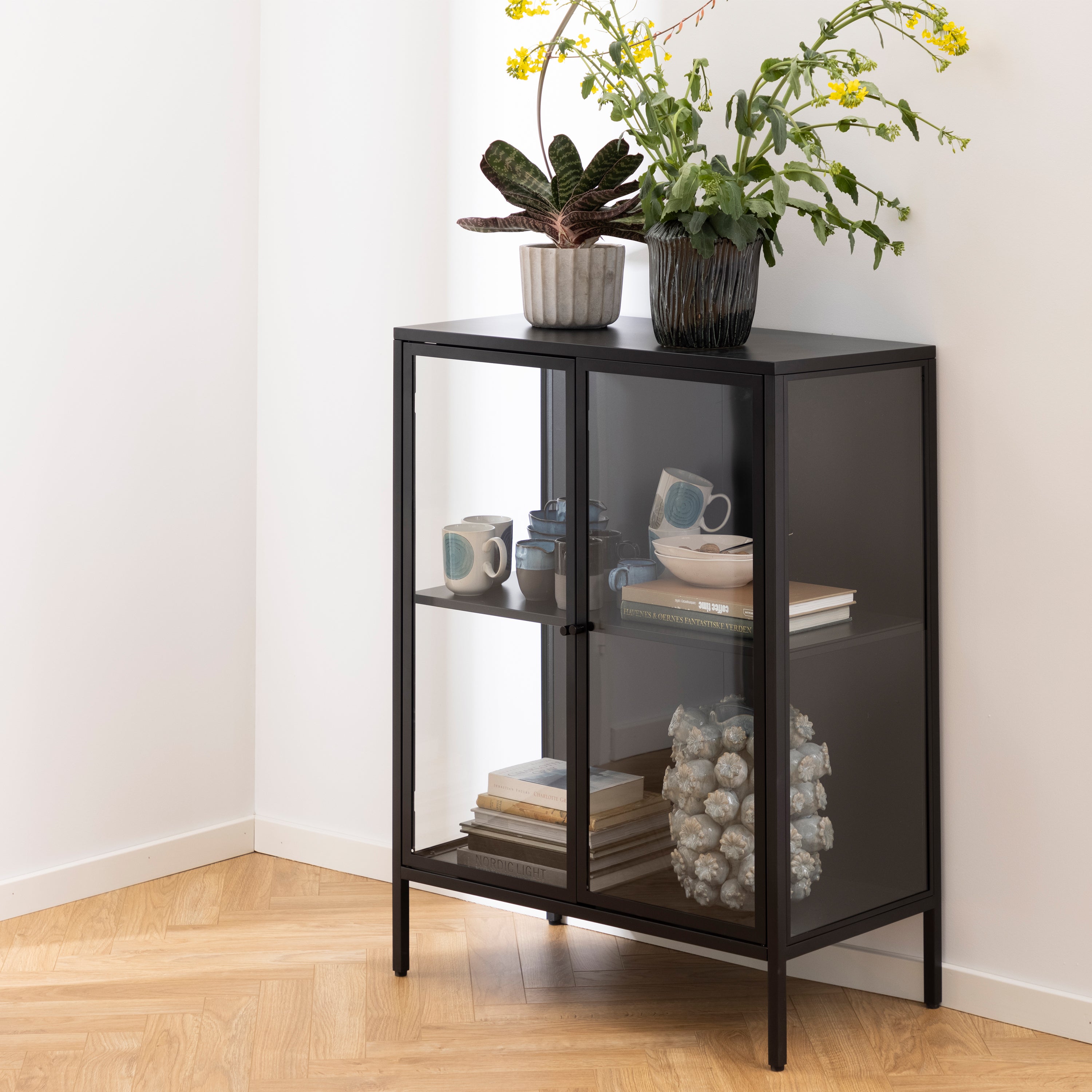 Newcastle Low 2 Door Display Cabinet in Matt Black – FTG, view 7