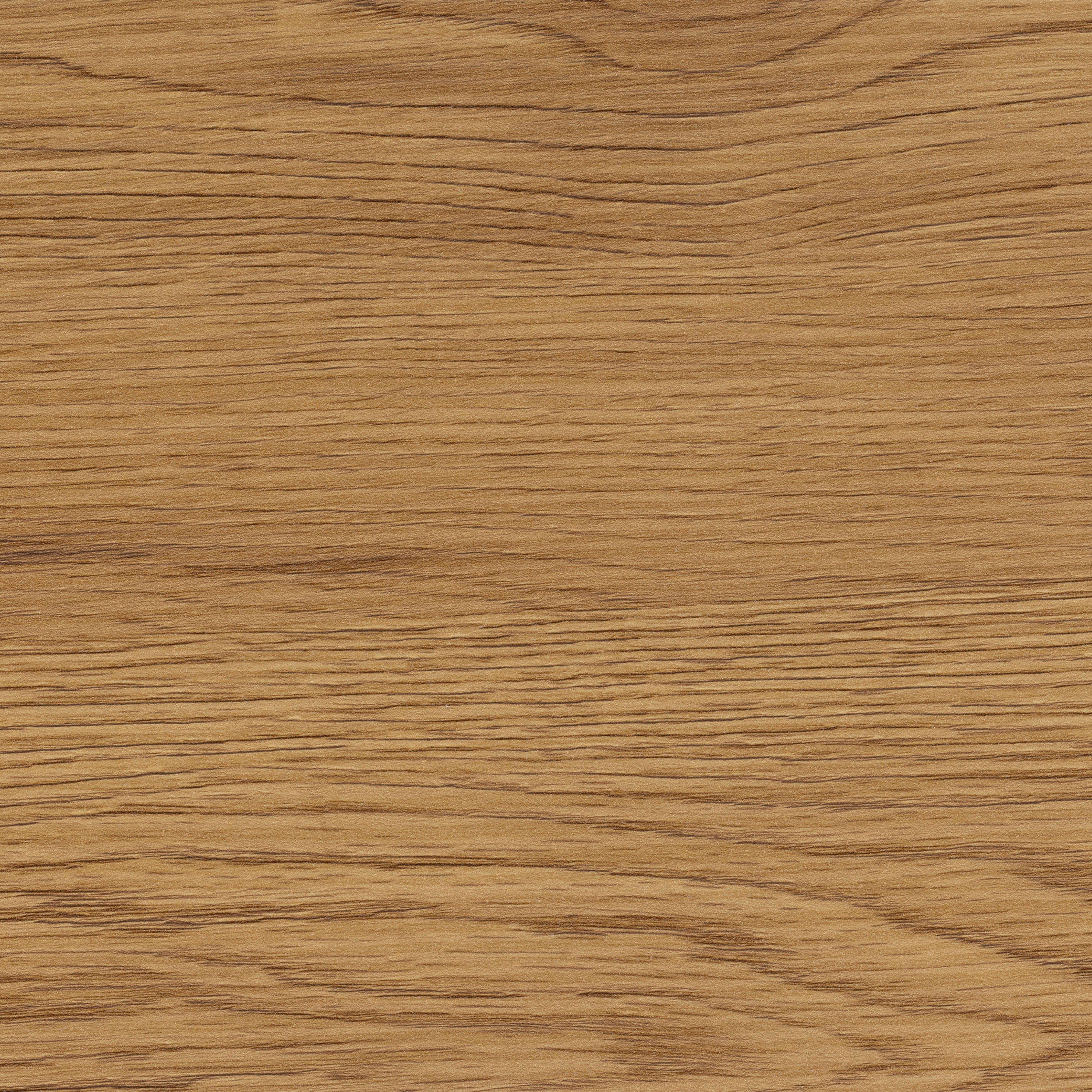 Seaford Tv Unit 2 Doors 1 Drawer in Matt Wild Oak – FTG, view 8