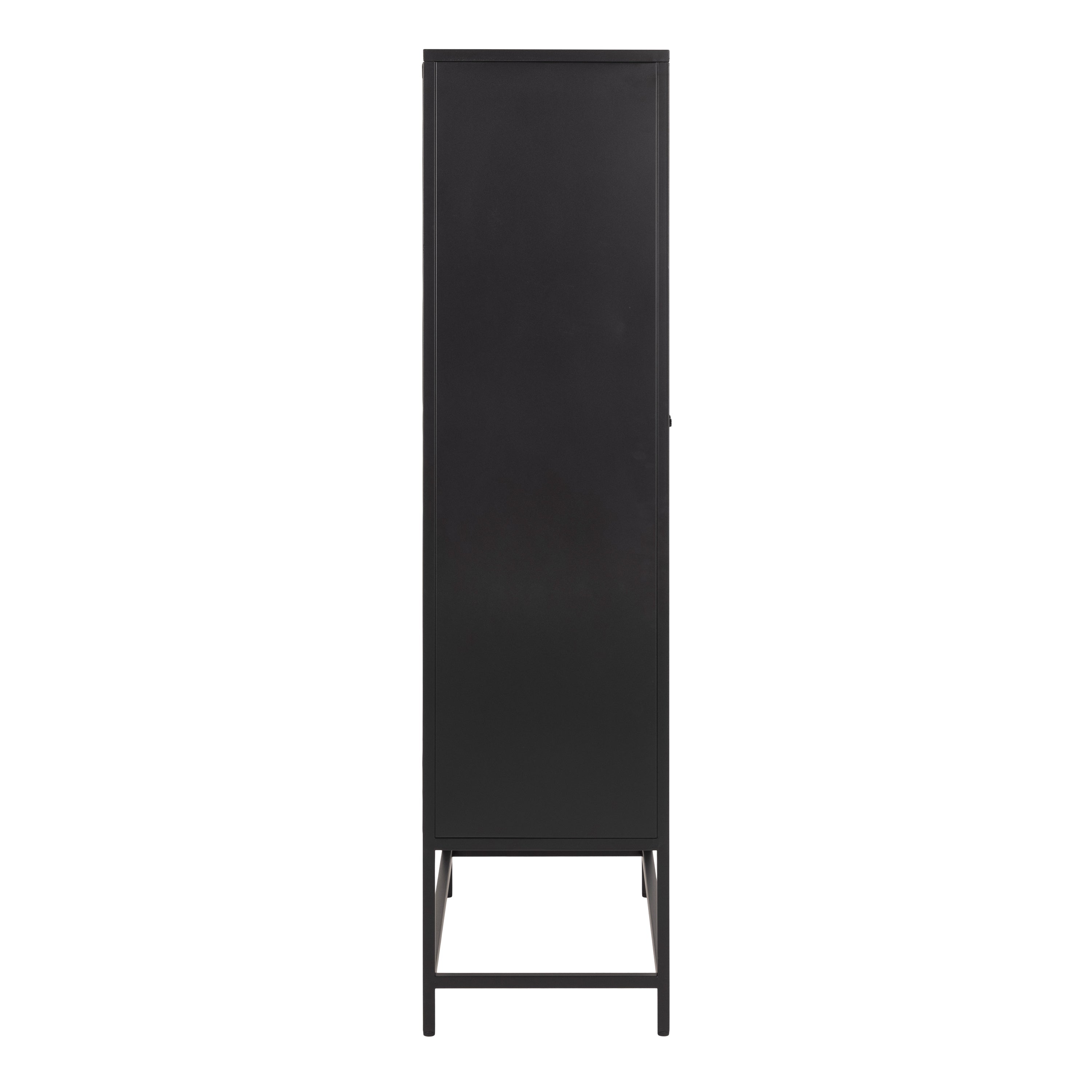 Newcastle 2 Door Cabinet in Matt Black – FTG, view 3