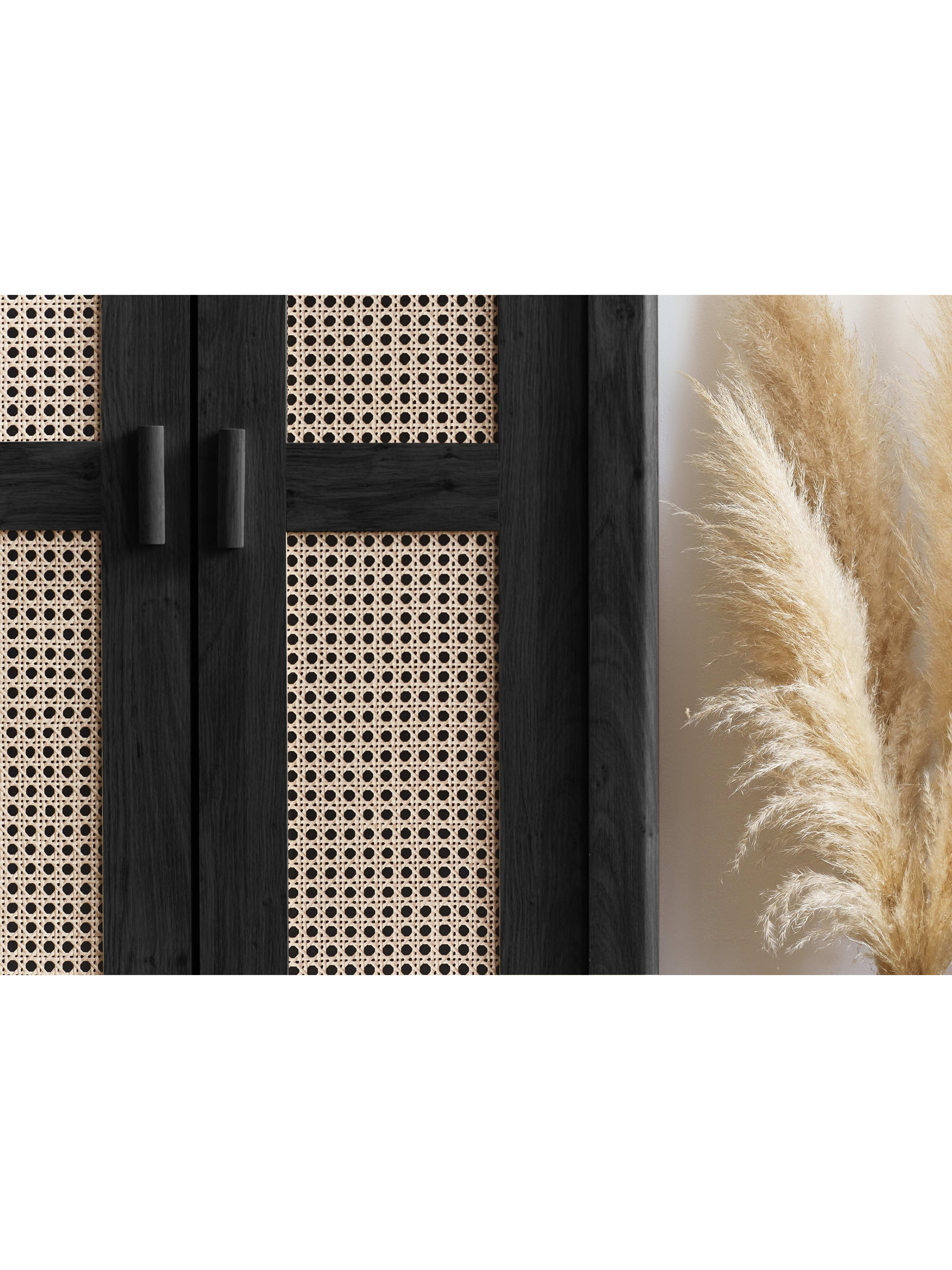 Sydney 2 Door Wardrobe - Black Ash