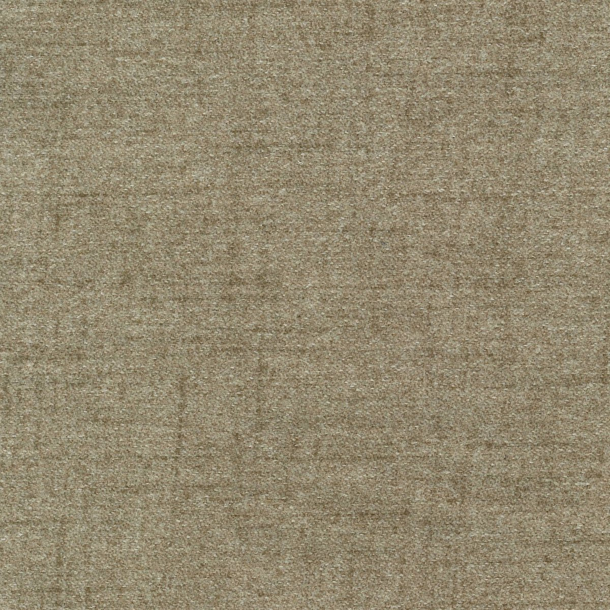 Grampian Mink fabric swatch
