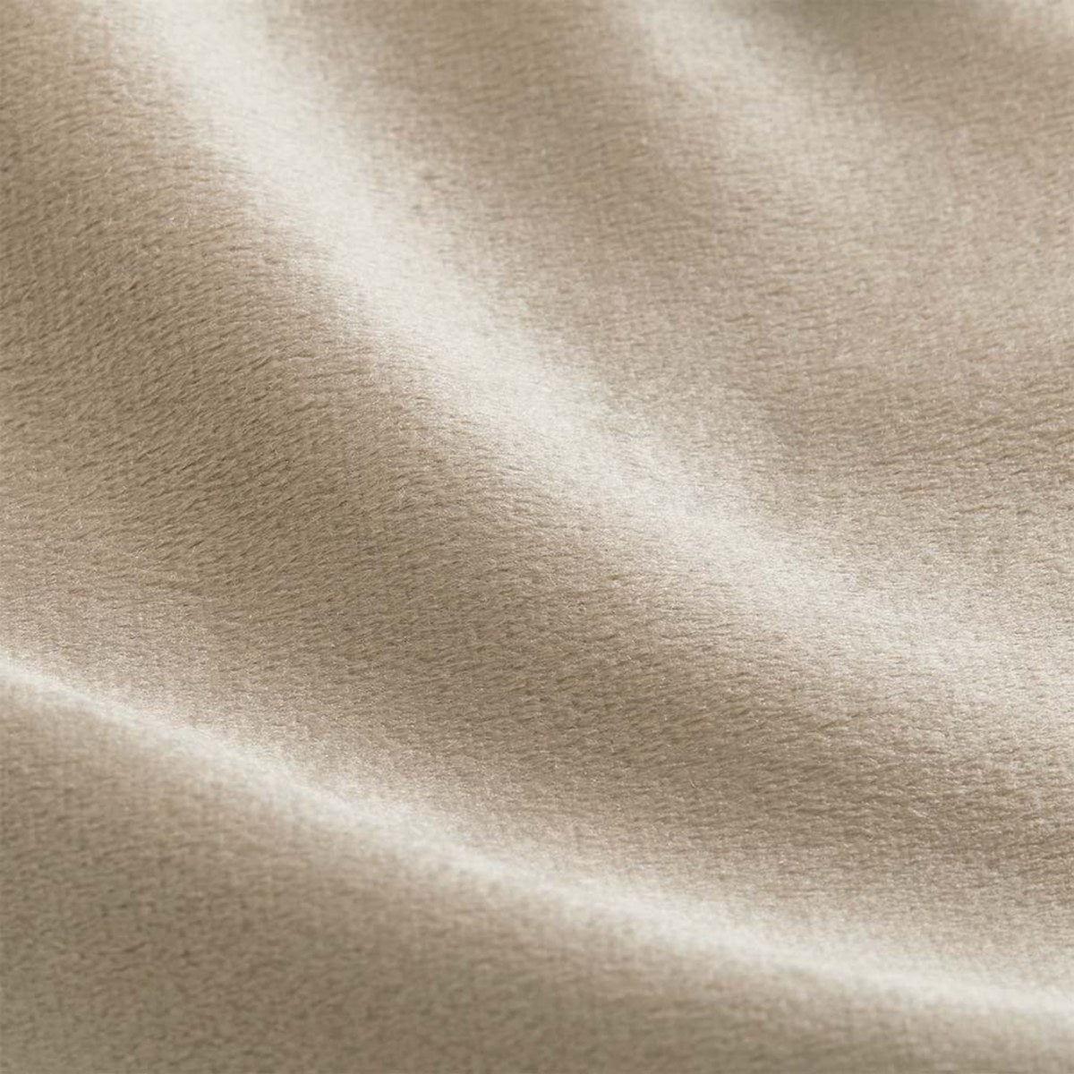 Plush Velvet Cream fabric swatch