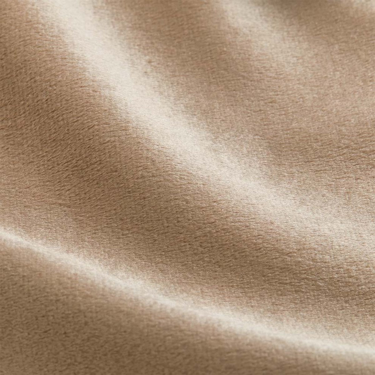 Plush Velvet Mink fabric swatch