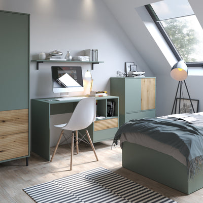 Darwin Sideboard 2 Door 2 Drawer in Green/Oak – FTG, view 4