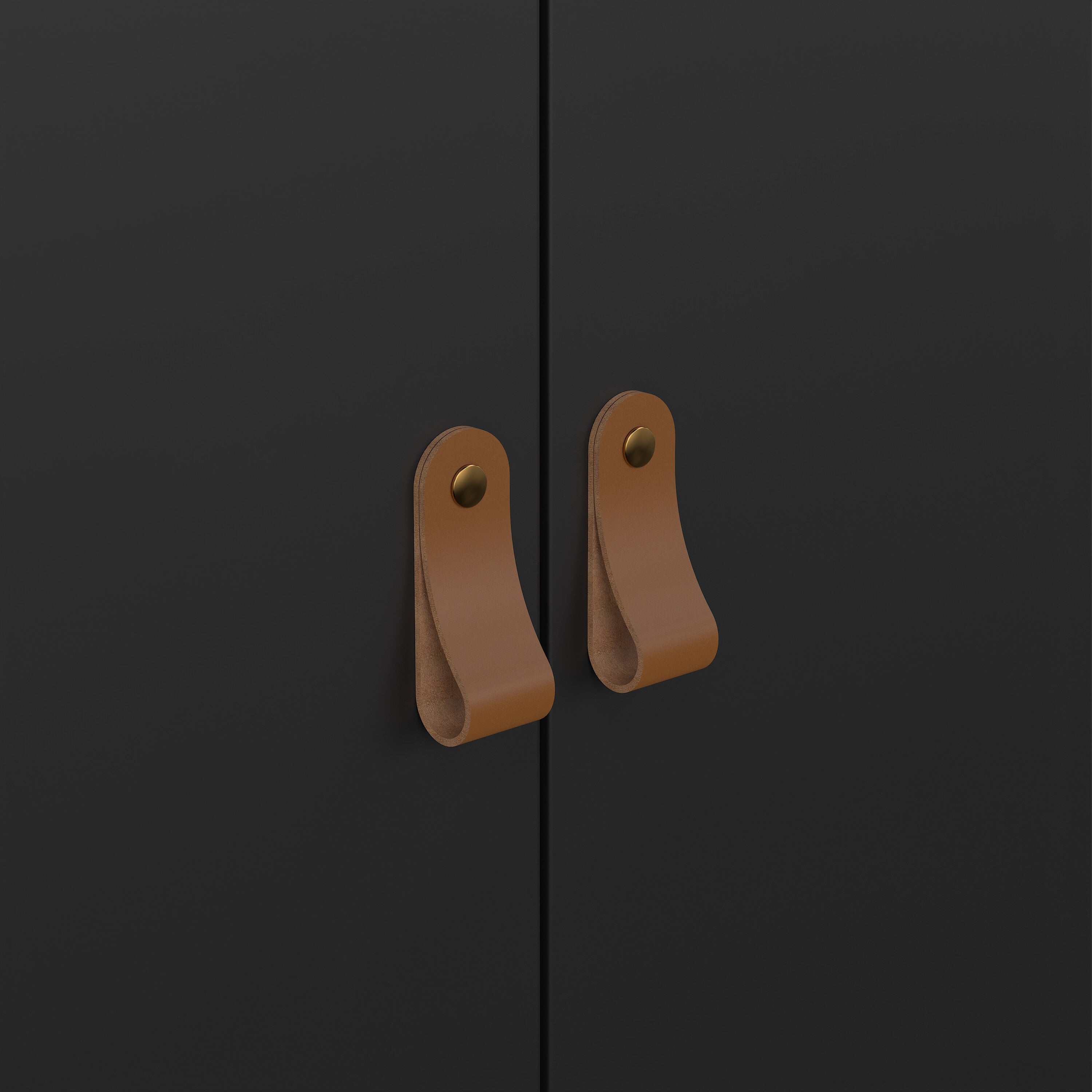 Barcelona Wardrobe with 2 Doors in Matt Black – FTG, view 7