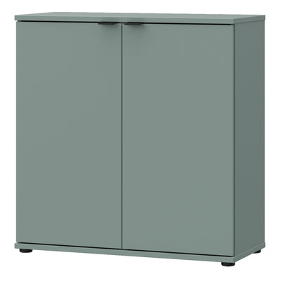 Ganymede 2 Door Cupboard in Sage Green