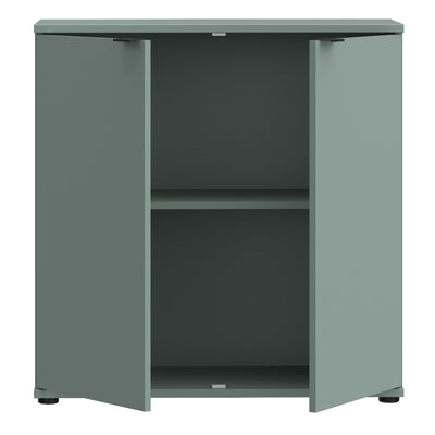 Ganymede 2 Door Cupboard in Sage Green