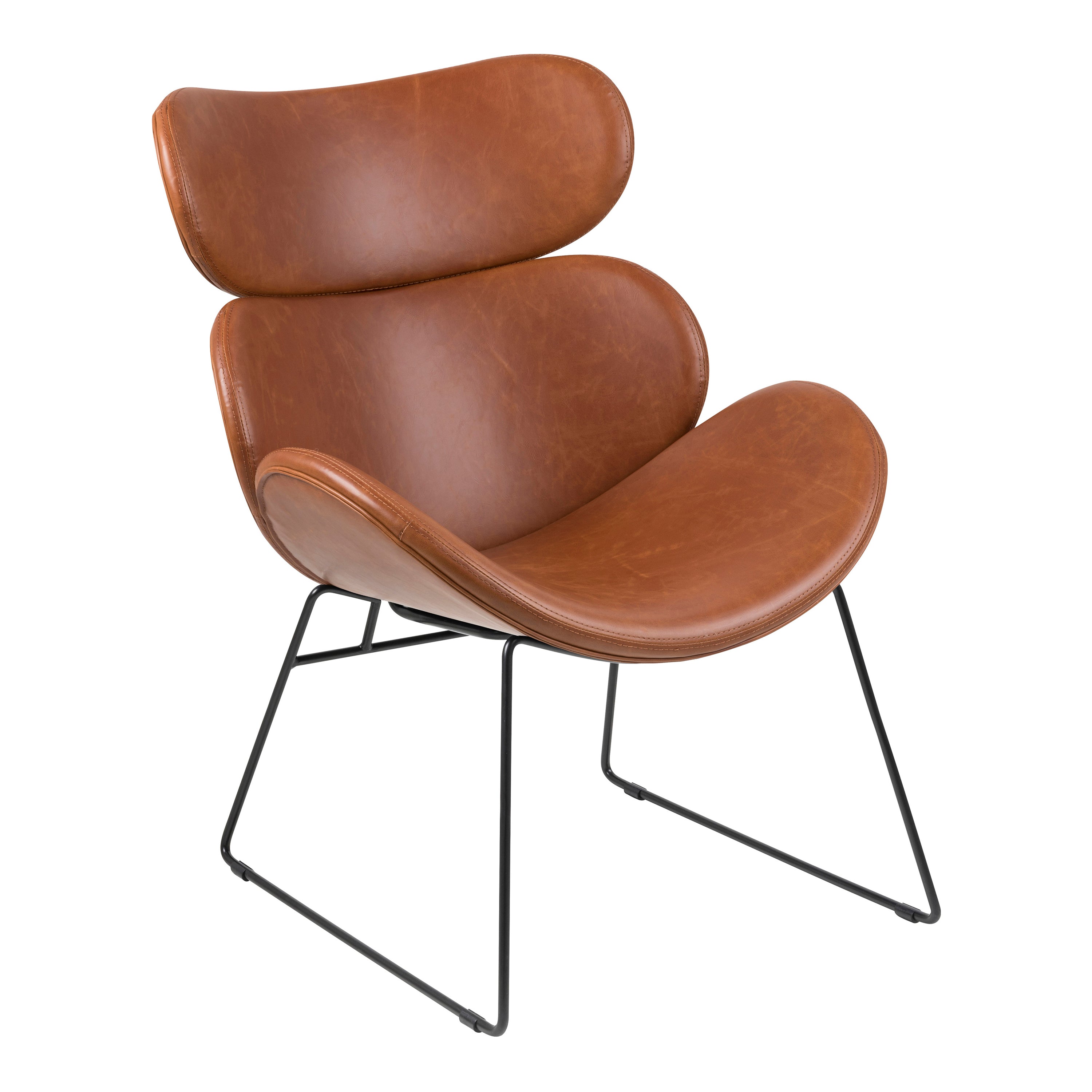 Cazar Lounge Chair in Brown – FTG