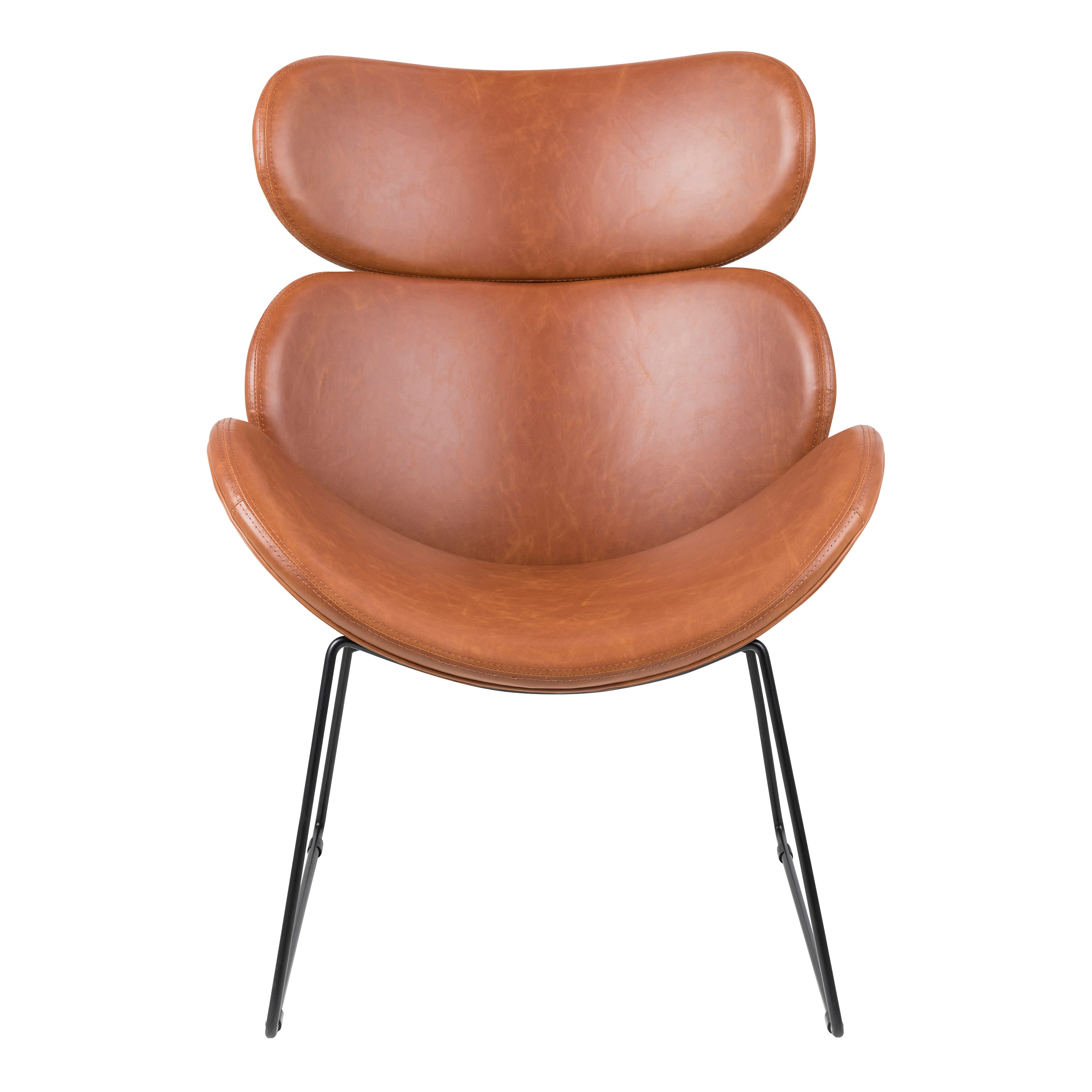 Cazar Lounge Chair in Brown – FTG, view 2