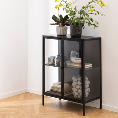 Newcastle Low 2 Door Display Cabinet in Matt Black – FTG, view 7