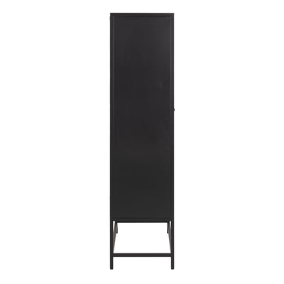 Newcastle 2 Door Cabinet in Matt Black – FTG, view 3