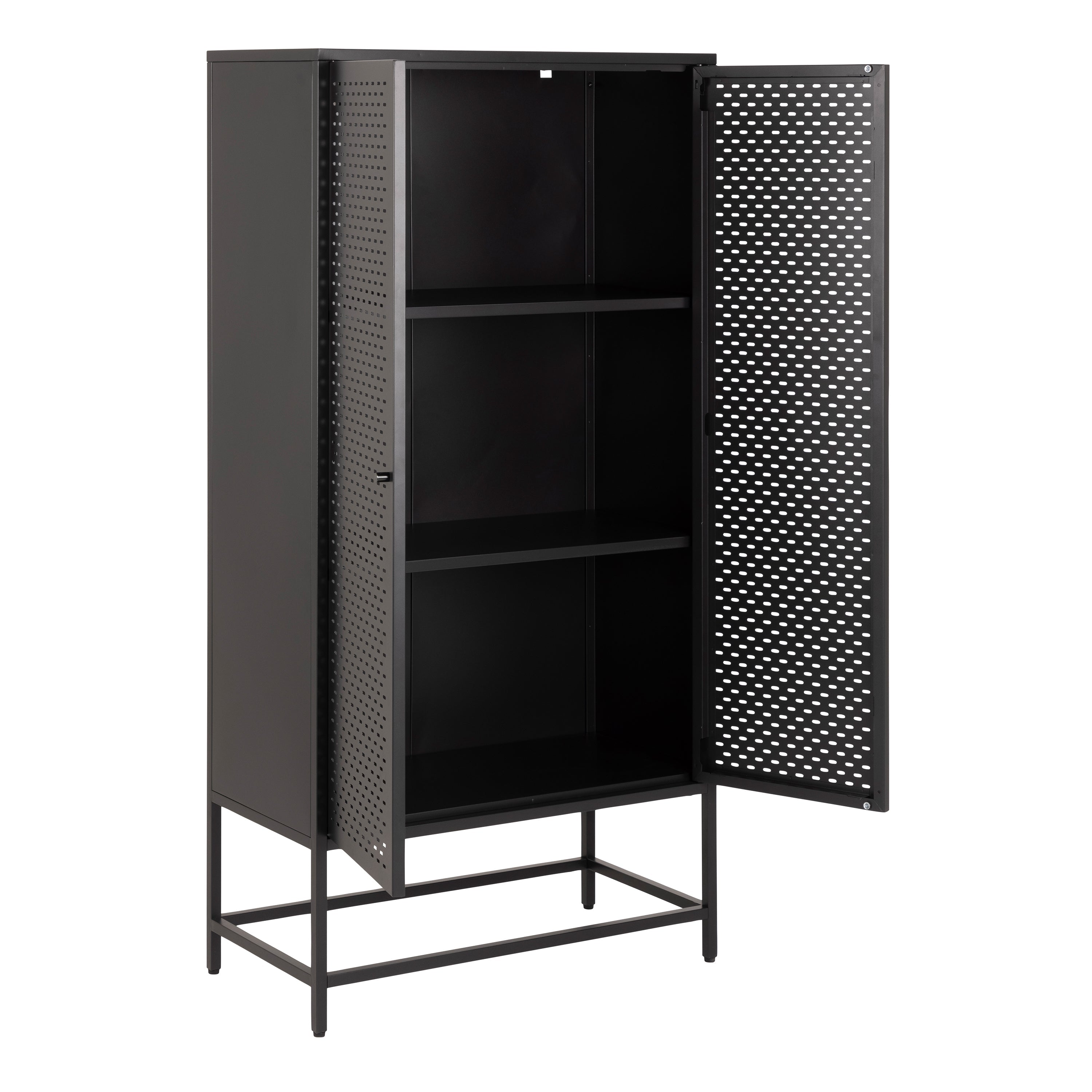 Newcastle 2 Door Cabinet in Matt Black – FTG, view 4