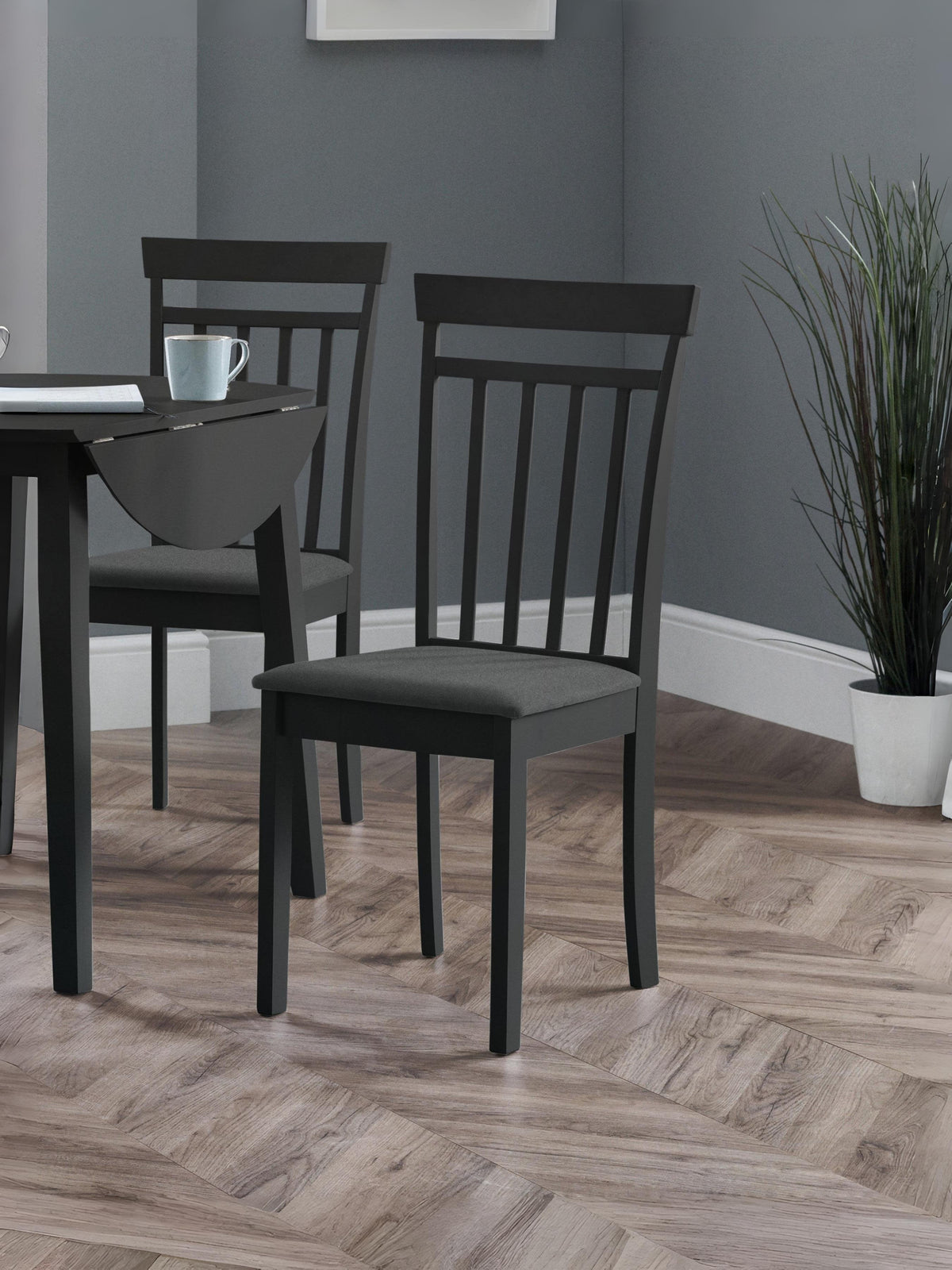 Coast Black Dining Chairs (Set of2)
