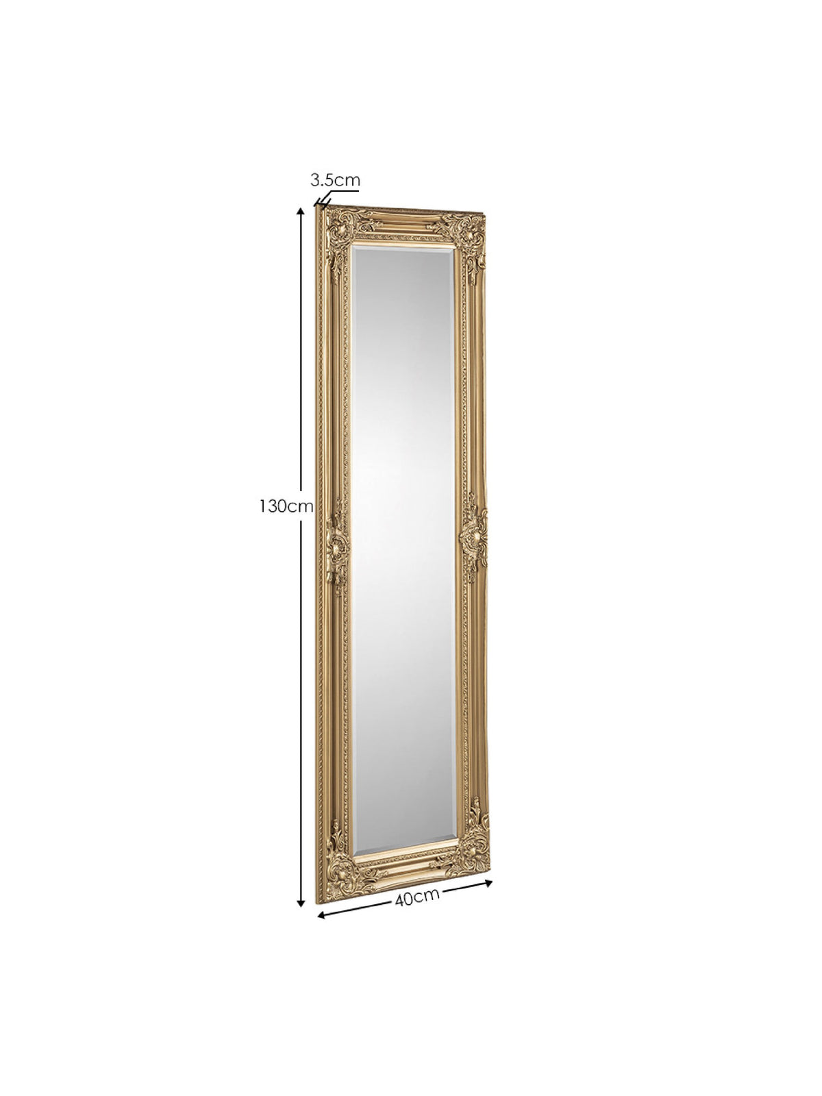 Palais Gold Dress Mirror