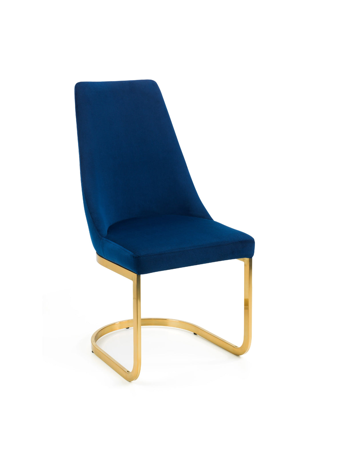 Vittoria Cantilever Dining Chairs - (Blue Set Of 2)