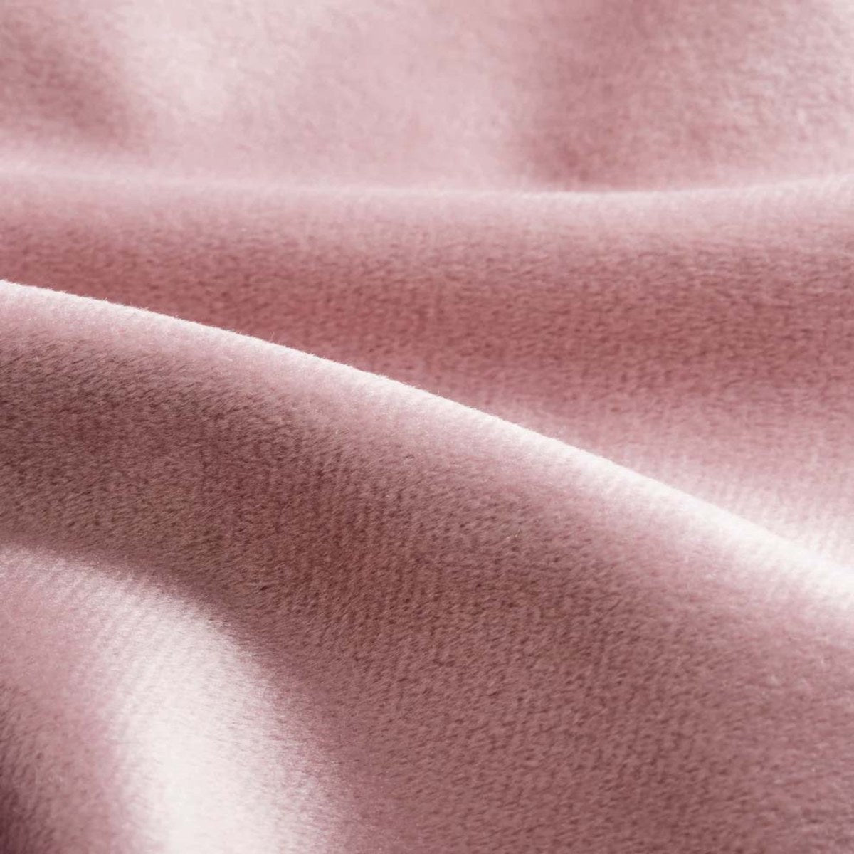 Plush Velvet Pink fabric swatch